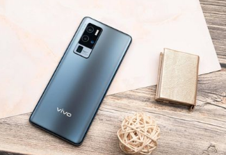 Vivo X100 Pro+和X100s显示屏和更多细节提示