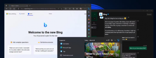 如何在 Windows 11 中使用 Bing 聊天